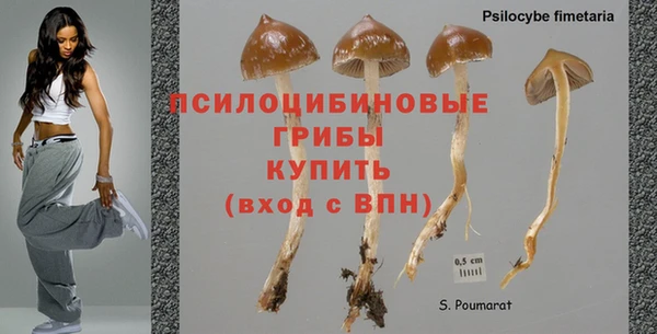 mix Абинск