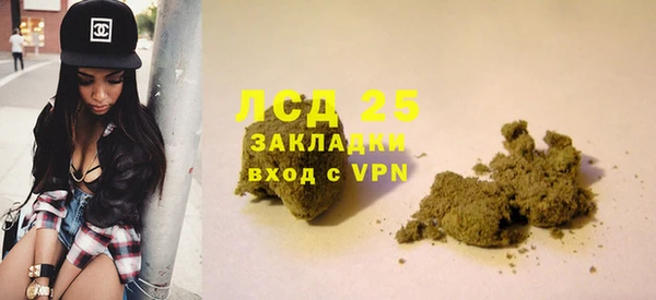 PSILOCYBIN Абаза