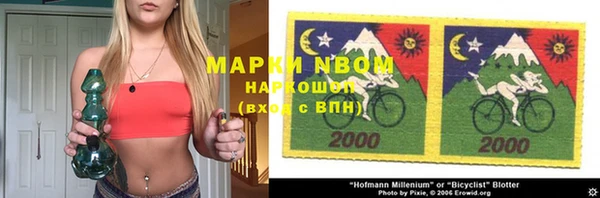 гашик Зеленокумск