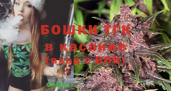 PSILOCYBIN Абдулино